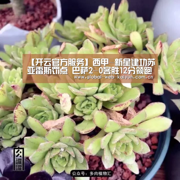 开云官方服务