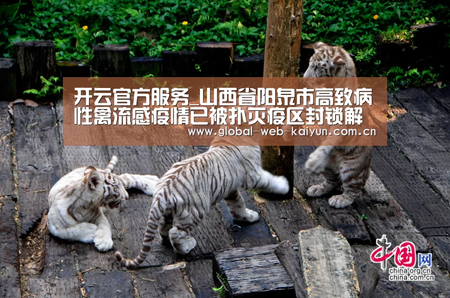 开云体育首页