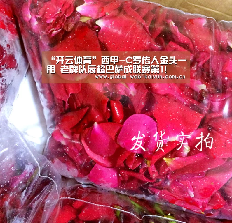 开云体育官方入口