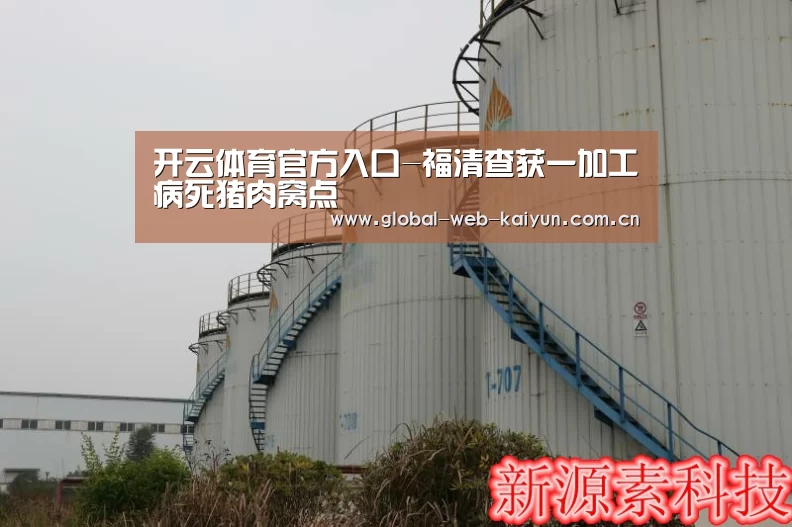 开云体育官方入口