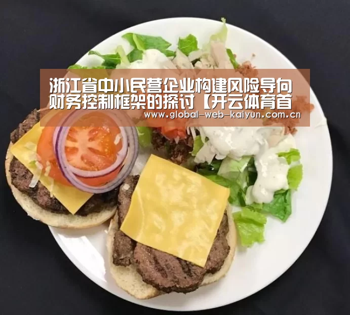浙江省中小民营企业构建风险导向财务控制框架的探讨【开云体育首页】(图1) 开云体育首页