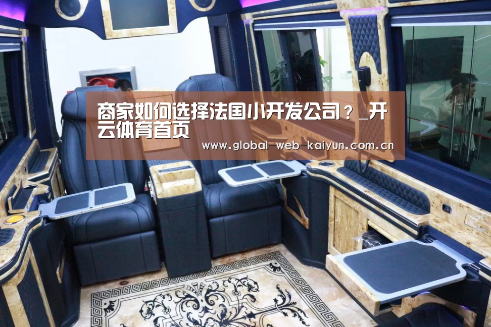 商家如何选择法国小开发公司?_开云体育首页(图2) KAIYUN入口