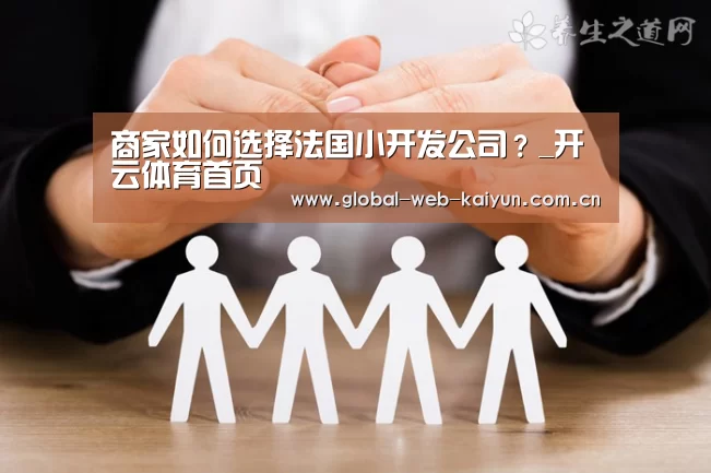商家如何选择法国小开发公司?_开云体育首页(图3) KAIYUN入口