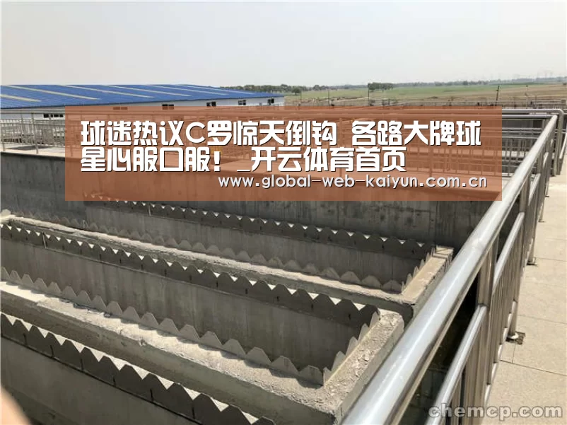 球迷热议C罗惊天倒钩 各路大牌球星心服口服!_开云体育首页(图2) 开云体育首页