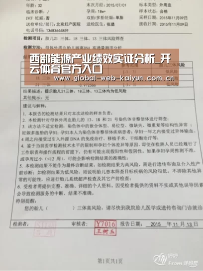西部能源产业绩效实证分析_开云体育官方入口(图1) KAIYUN入口