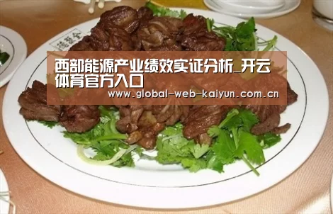 西部能源产业绩效实证分析_开云体育官方入口(图3) 开云官方服务