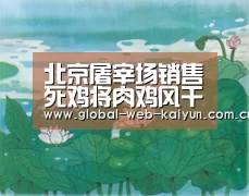 北京屠宰场销售死鸡将肉鸡风干冒充柴鸡【开云体育首页】(图1) 开云体育官方入口
