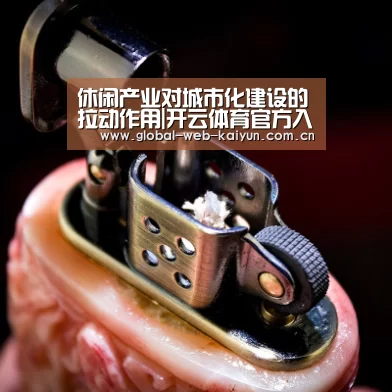 休闲产业对城市化建设的拉动作用|开云体育官方入口(图3) 开云体育首页