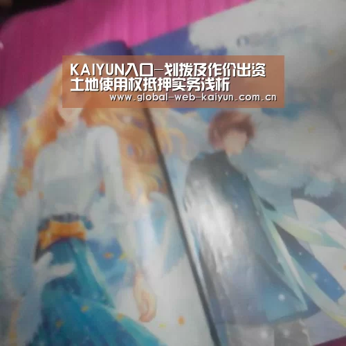 KAIYUN入口-划拨及作价出资土地使用权抵押实务浅析(图2) 开云体育官方入口