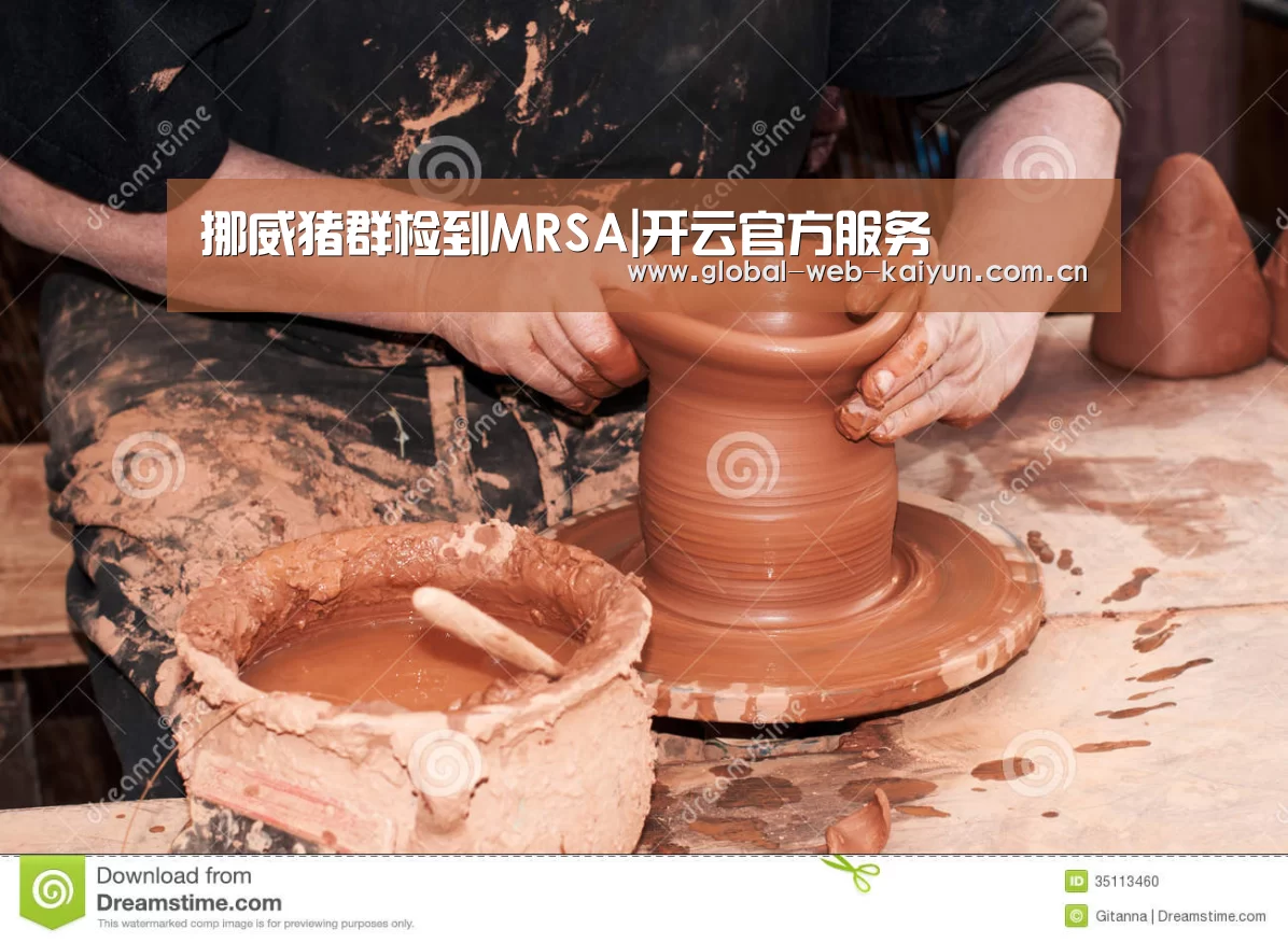 挪威猪群检到MRSA|开云官方服务(图1) 开云体育官方入口