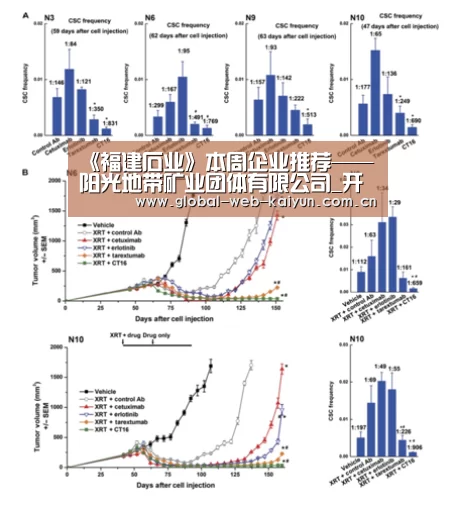 《福建石业》本周企业推荐——阳光地带矿业团体有限公司_开云体育首页(图2) 开云体育