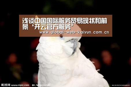 浅谈中国国际服务贸易现状和前景‘开云官方服务’(图1) KAIYUN入口