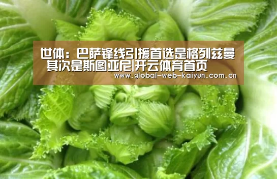 世体:巴萨锋线引援首选是格列兹曼 其次是斯图亚尼|开云体育首页(图2) KAIYUN入口