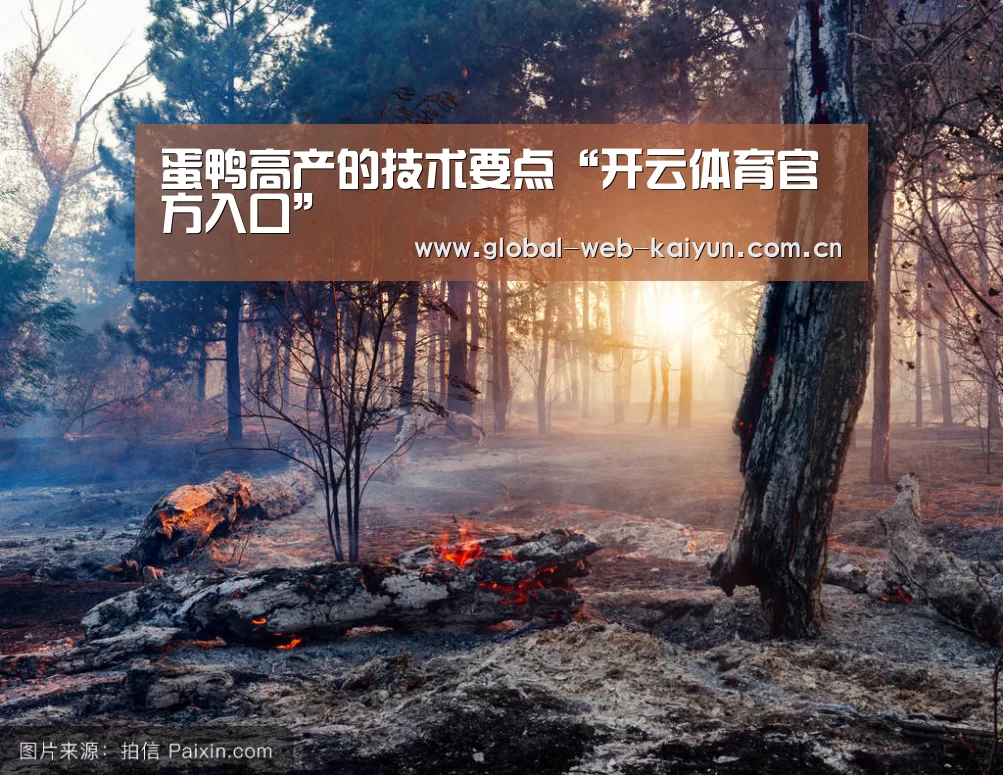 蛋鸭高产的技术要点“开云体育官方入口”(图1) KAIYUN入口