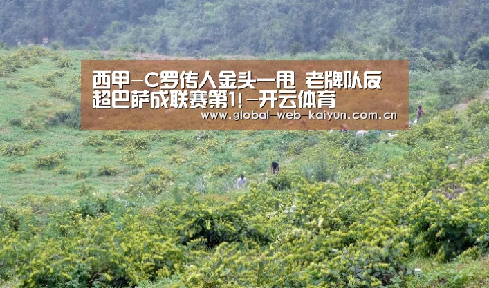 开云体育官方入口
