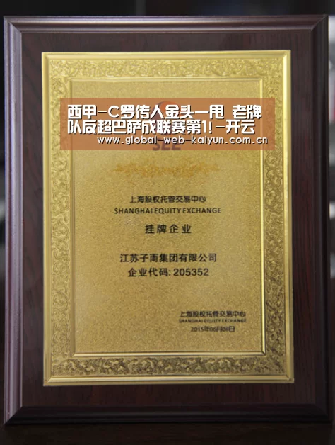 开云体育官方入口